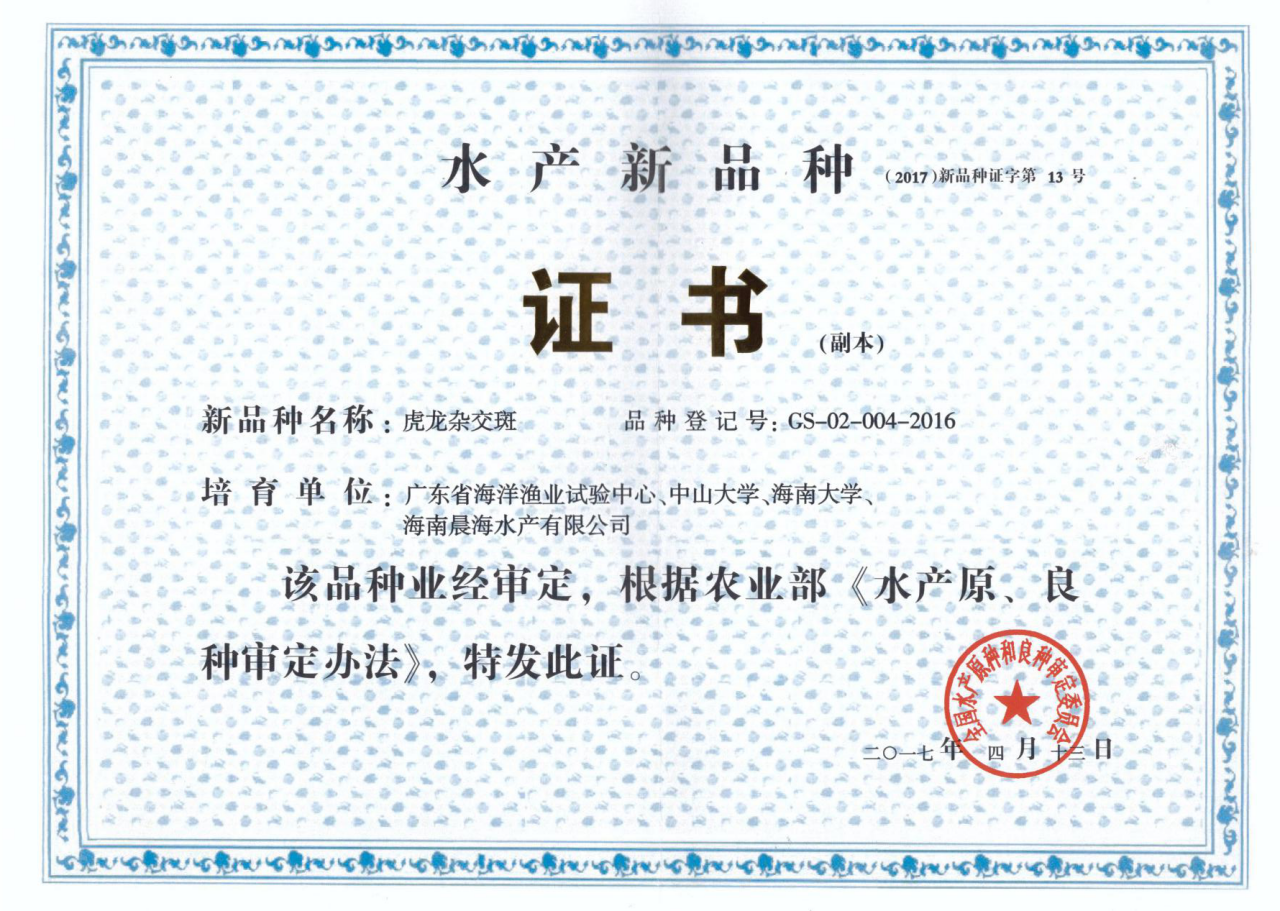 厲害了，我的“虎龍雜交斑”