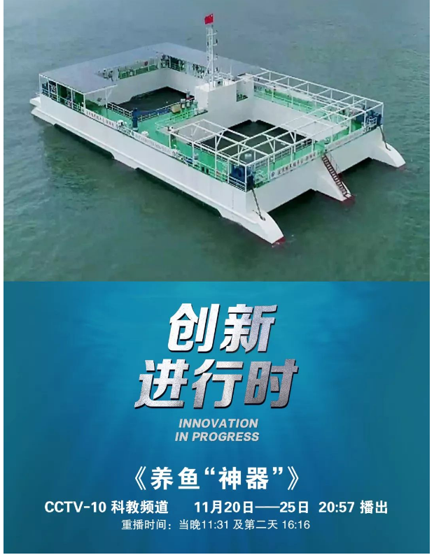 風(fēng)再猛、浪再大，都攔不住我養(yǎng)魚的雄心！