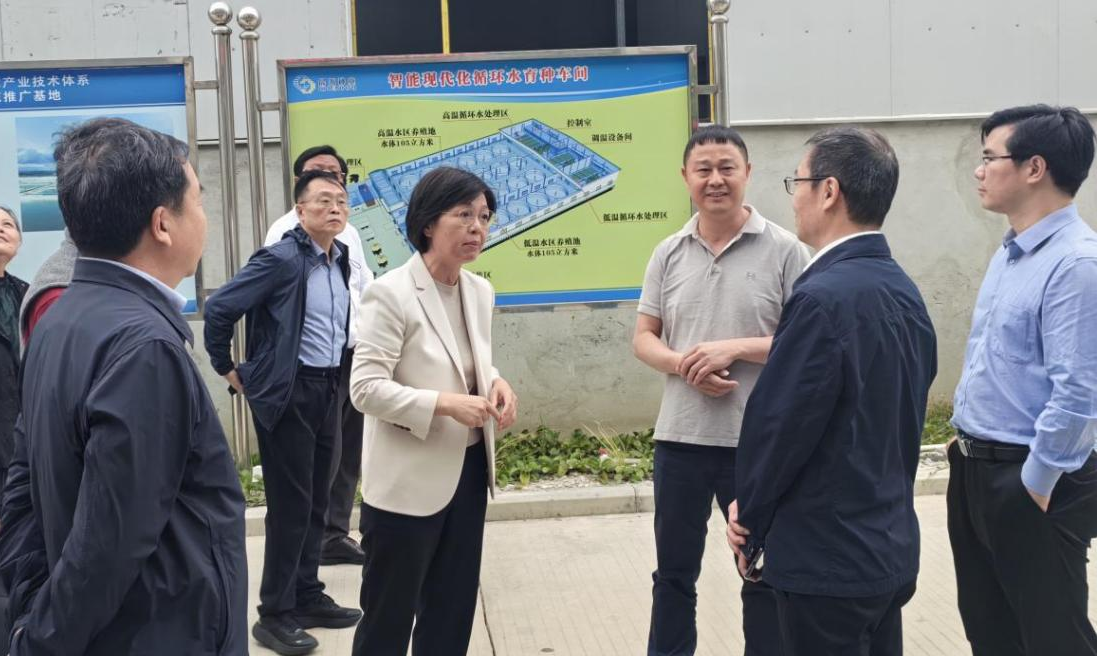 福建省政協(xié)副主席黃玲帶隊(duì)到晨海調(diào)研