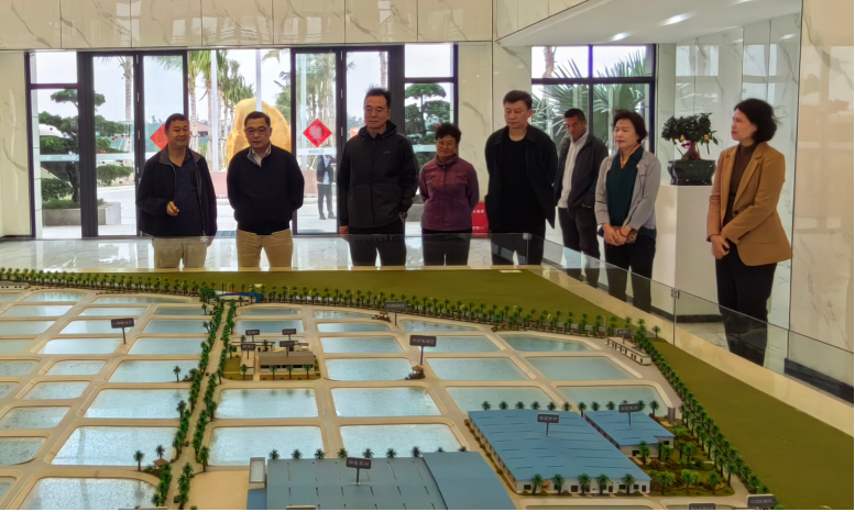 上海市政府黨組成員彭沉雷一行考察晨海陵水種業(yè)基地