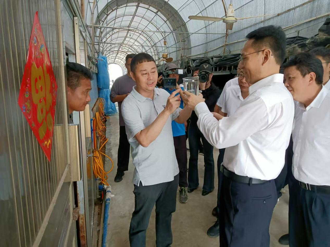 東方市委書記李愛華一行調(diào)研晨海水產(chǎn)東方感城基地